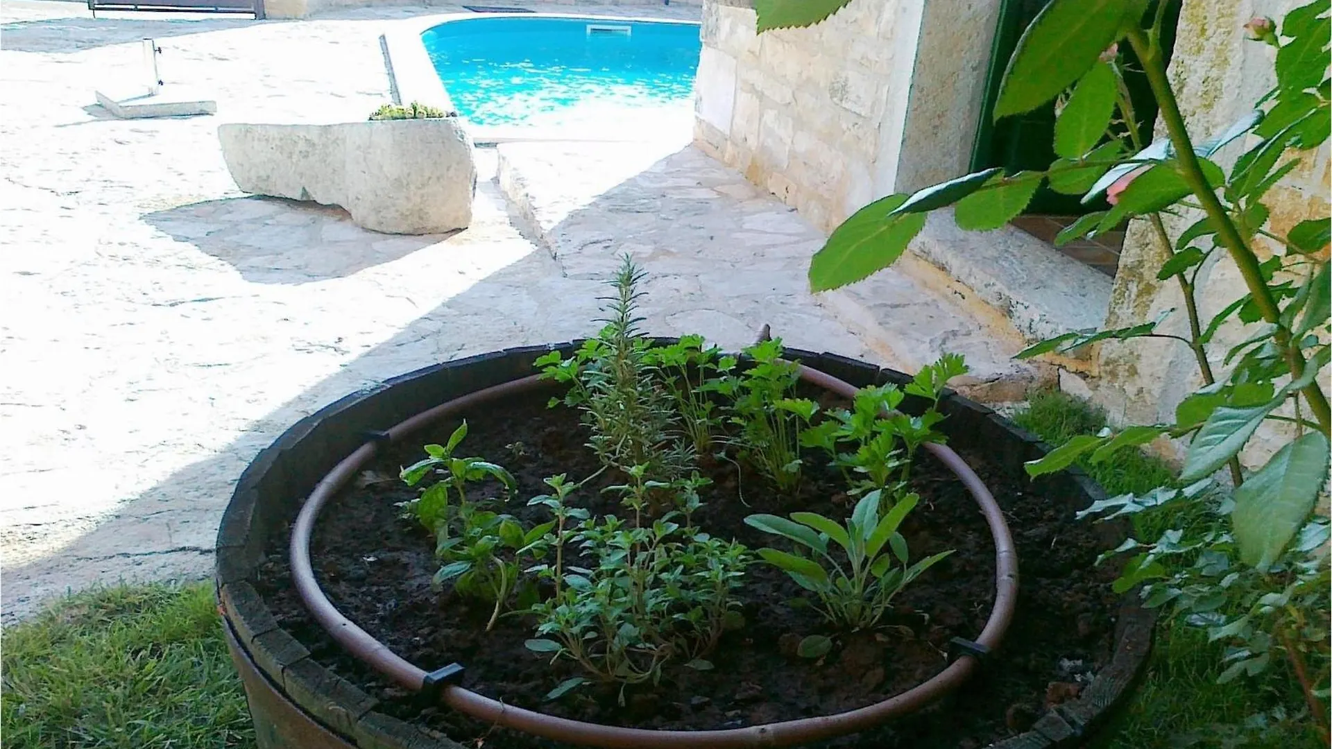 Villa Bassi Basici Croatia